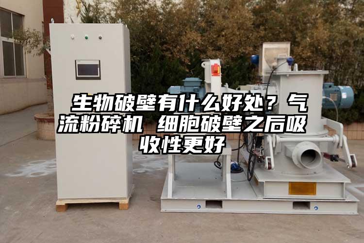 生物破壁有什么好處？氣流粉碎機(jī) 細(xì)胞破壁之后吸收性更好