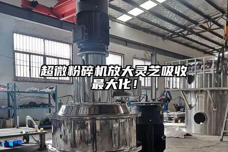 超微粉碎機(jī)放大靈芝吸收最大化！